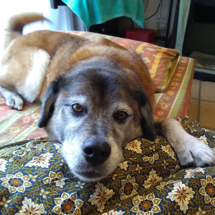 113d7cf6 cfbd 40e7 b847 8ce62b0fc9fd 1564810031739