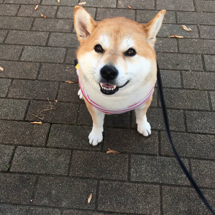 113da043 1701 43ec be5b 9409b093d7da 1572593932952