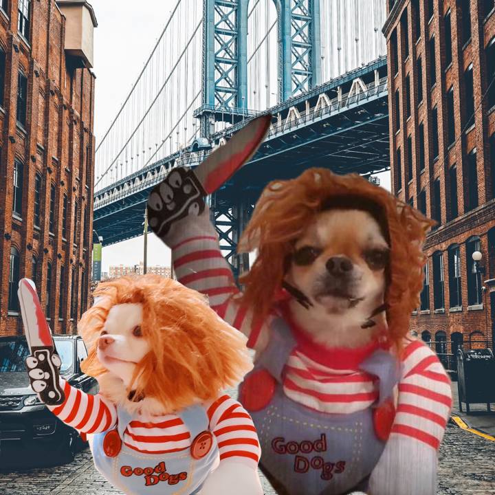 113dc7ab d3f4 45f2 a8c3 d7e6979a96f9 1667371143423