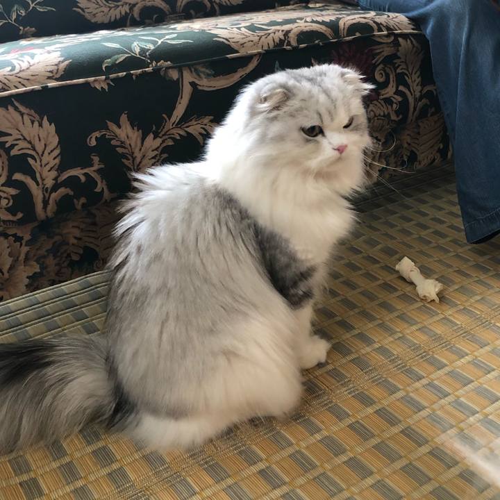 113dd757 e262 4178 af27 fec6be03b01c 1627172047692