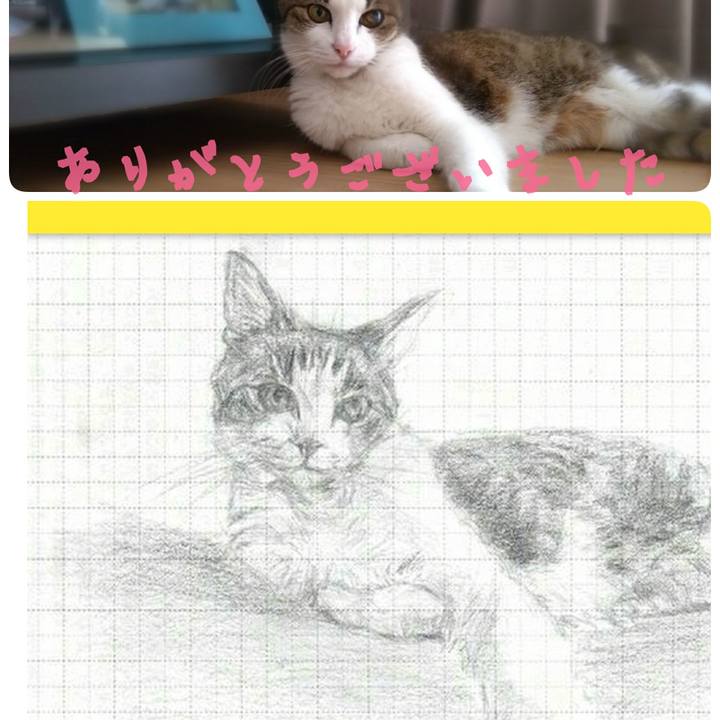 113ddcd9 b842 4c84 8768 0ea5b0b81ea7 1545736419889