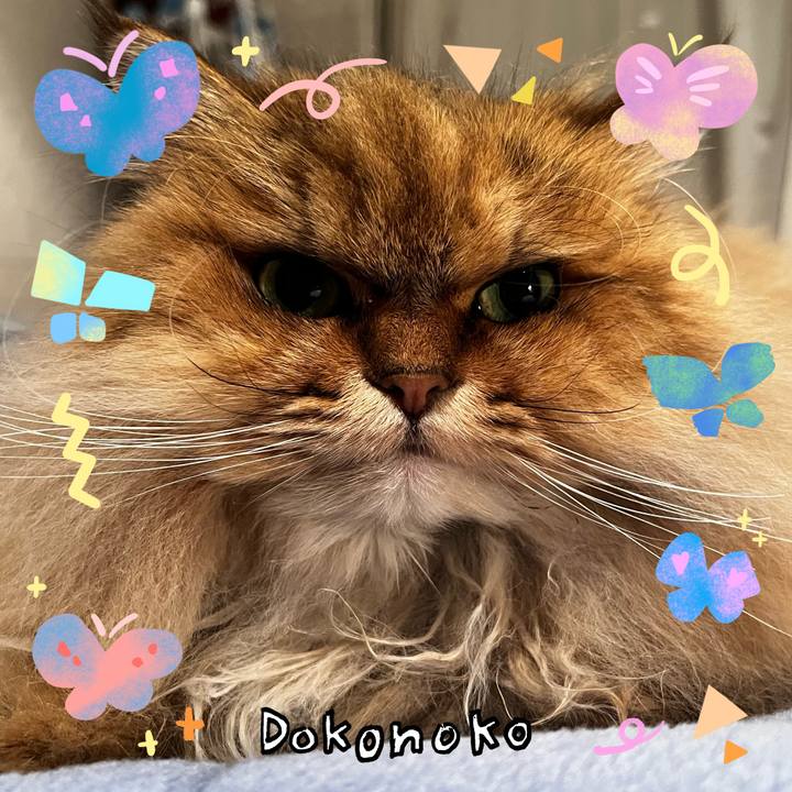 113ded85 8fd6 4e7d 8f9f 300f19209142 1711535656922