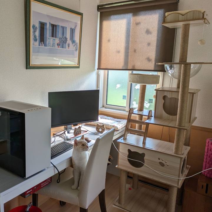 113dfe6c 8f18 43ed bd45 80ab41ca6b9f 1690669261079