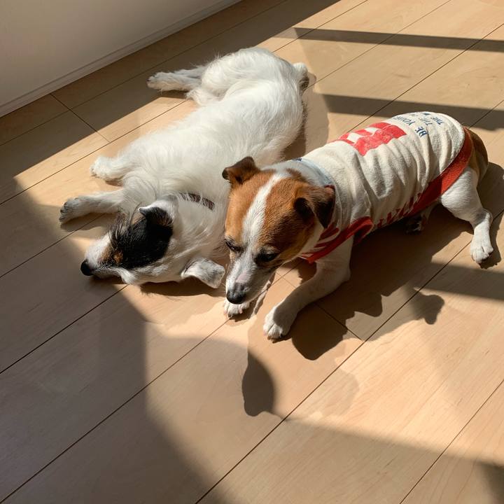 113e09e5 d8aa 4ee4 9c83 0ac2181cc35f 1588224189371