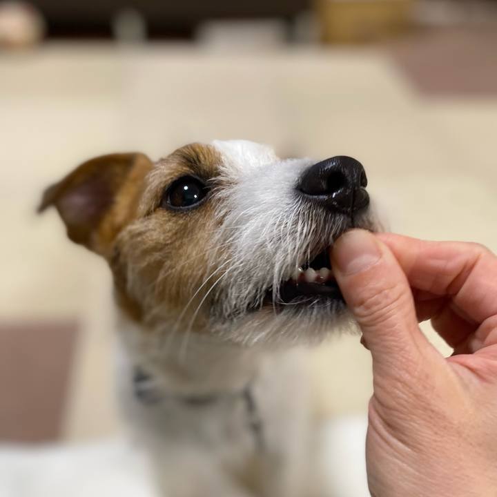 113e3d43 5cbe 410f 808c cf0e3353804e 1738588694459