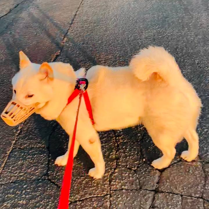 113e3f02 be46 461c 93eb 5c17134863ff 1567545349184