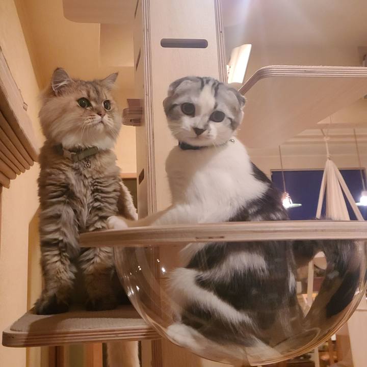 113e40b9 bd19 4124 b60d 5f04a4a8cd6c 1631099276523