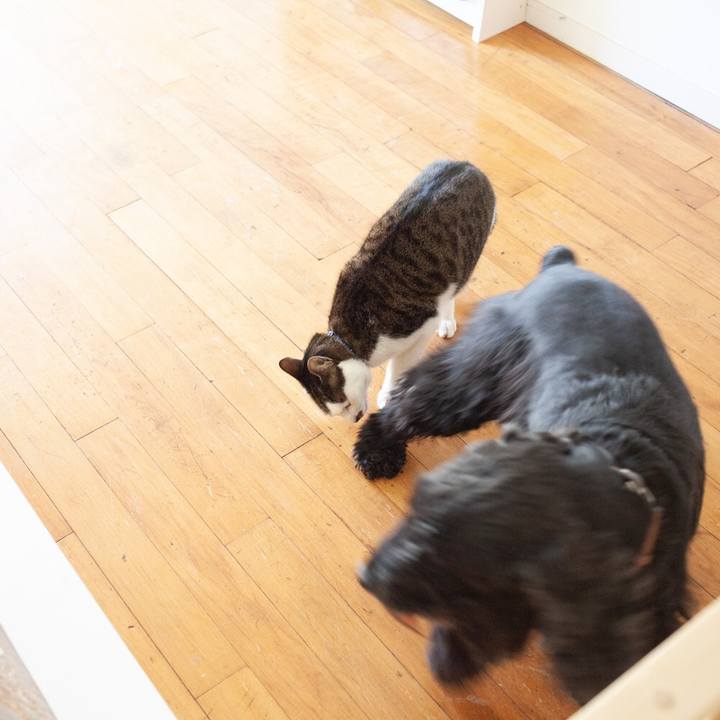 113e49b5 8dca 4a37 8b4d 0e0c2989b76a 1547814146168