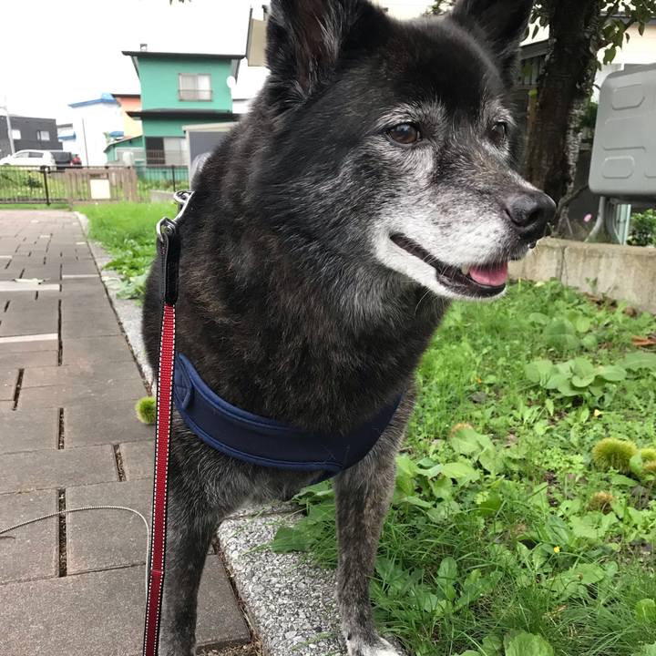 113e7d10 5f06 43e5 a793 8969e5076850 1566867733094