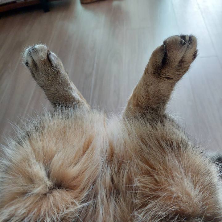 113e8d6a 04a2 40d4 8a52 1948a7c9f401 1729032071945