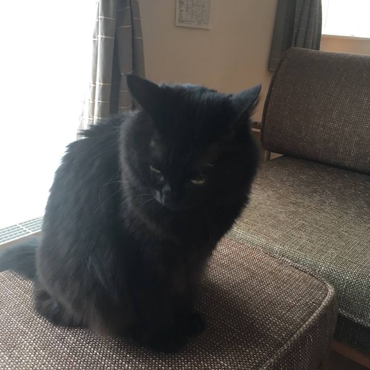 113ed9fc fe45 4f77 b426 f6721e7c0021 1526264017455