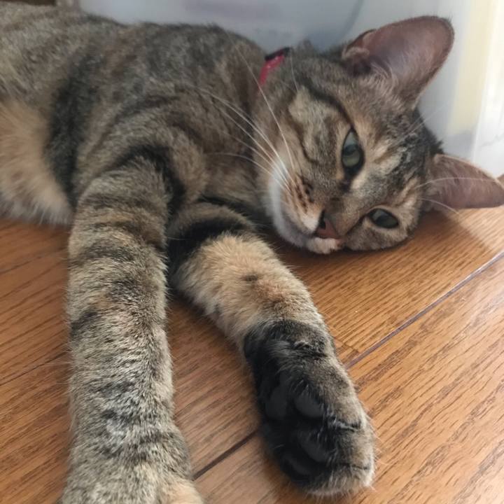 113f31ff 8f96 416e bd72 00bda31952f2 1591310540861