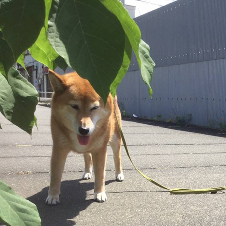 113f3650 9783 41d4 9c29 fb2cd66de193 1558230528757