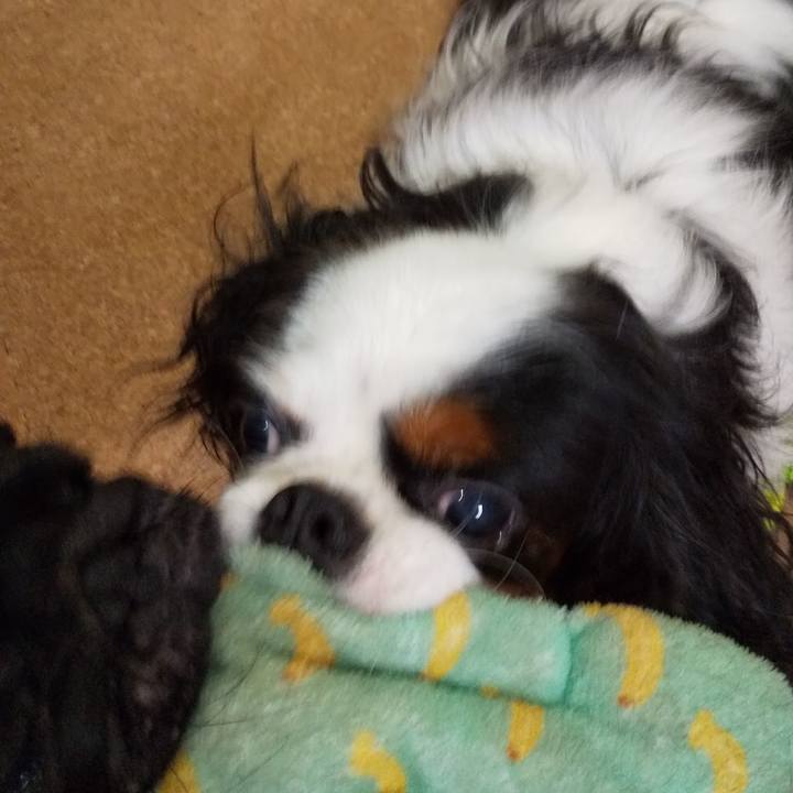 113f57a1 c097 4e3d 804b 66ab68af4157 1567260172286