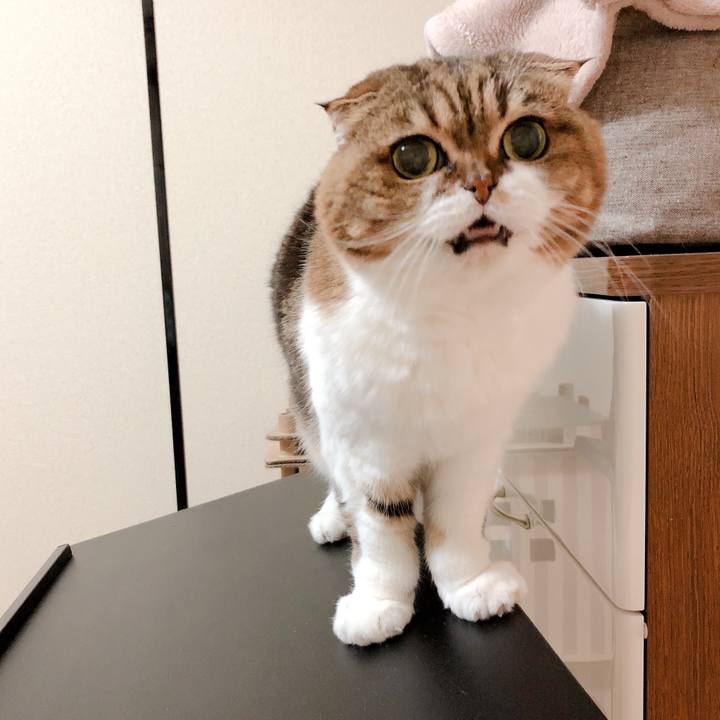 113f8285 0e01 4b49 b04b 53365d12f1a3 1579860324845