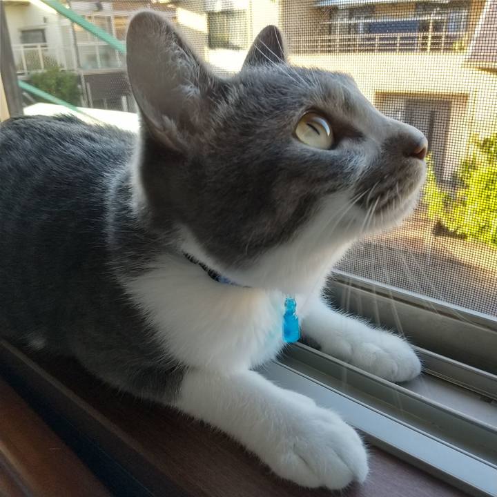 113f89c1 c171 4569 9b6a 1354bde7e51d 1601276813691