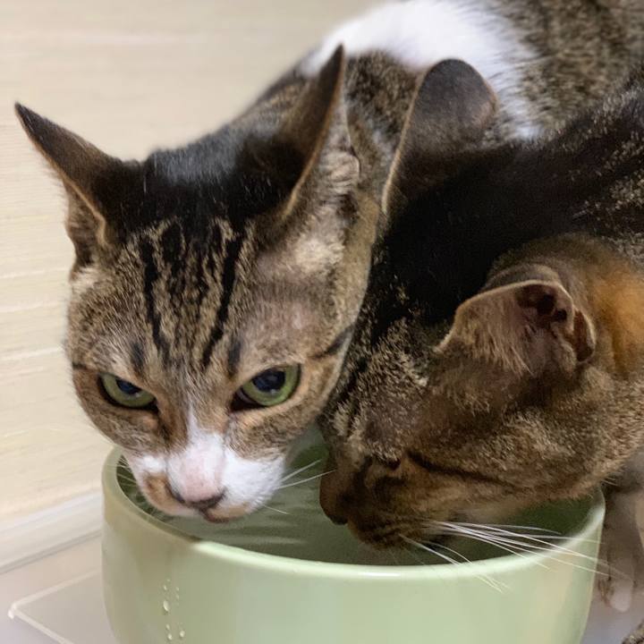 113f8e81 06ad 4023 bdb0 99c659a5e887 1556240506162