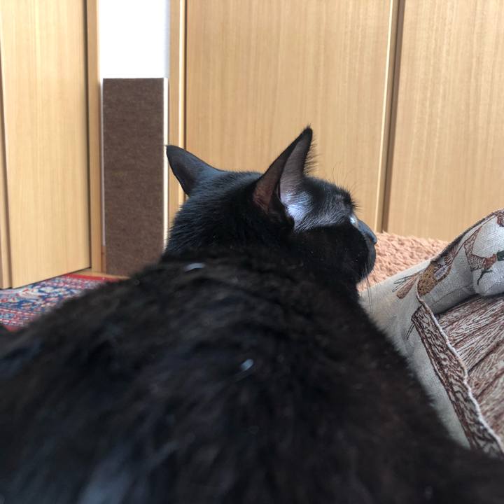 113f9591 e528 441d abc8 20078f6ee495 1552107818179