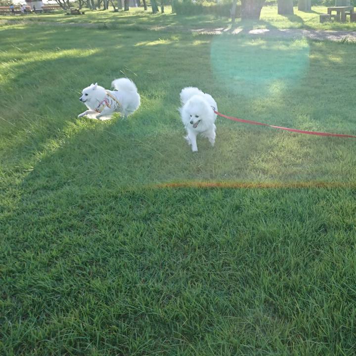 113fc9ee 7511 4c2e b671 852ea6d70915 1601195540718