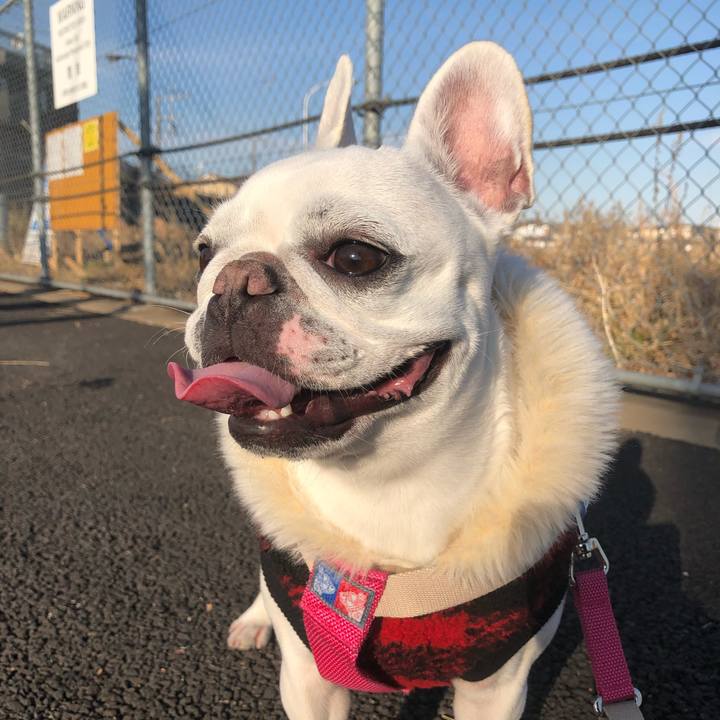 113fcf63 28d1 419d a577 7eda692e57af 1547880857089