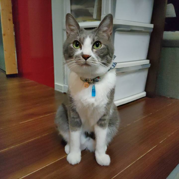 113fcf8f 7494 4e5b b419 0a9921b75b8e 1692194226120