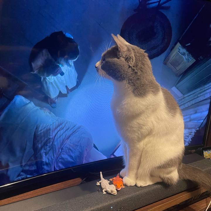 113ffbd4 b631 4d7e 9685 83bf0d063b25 1701962265895