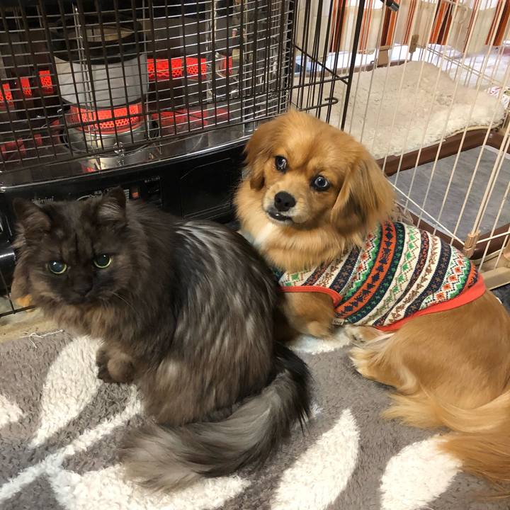 113fffd9 d6d8 45d8 ad38 c826250e9ead 1517349367990