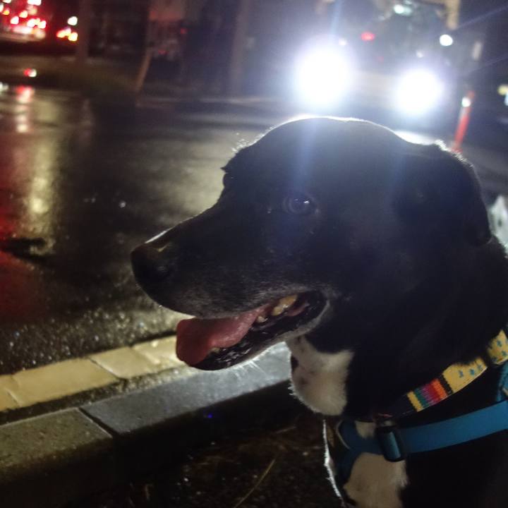 114059e6 225d 4623 a804 9e8a2b90f704 1696416199583