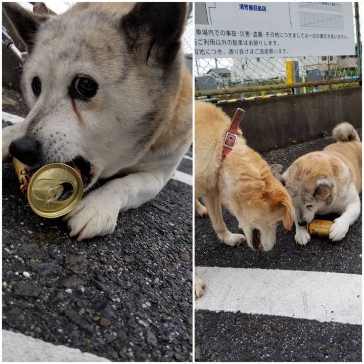 114062d1 8f3d 4f40 851a 50bb6a2a05e6 1750353894463