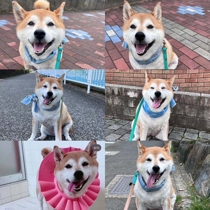 1140844a 4e5c 4682 80b5 9cd1cf5e137a 1725902826154