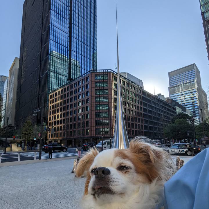 1140f361 e173 40a5 a743 4efc8382f4a8 1679210378768