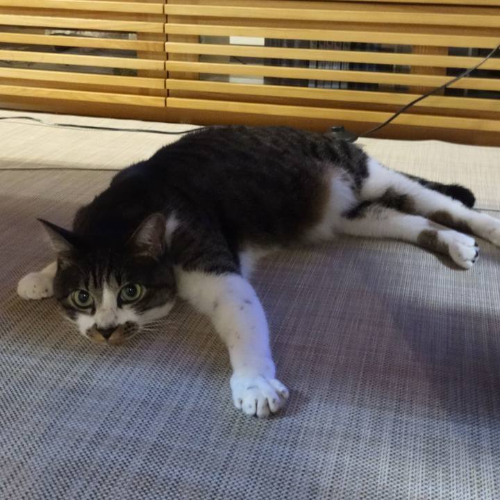 1140f97c 60ed 4155 87d9 fbccf35b0e0d 1764149105143