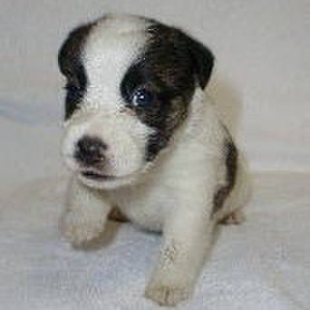 1140fdc5 8fd3 4cce 87de 983be08125cb 1534047708387