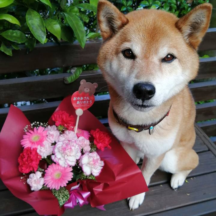 1141035d 6cbb 4d87 86a8 c99720cd30c6 1684571320317