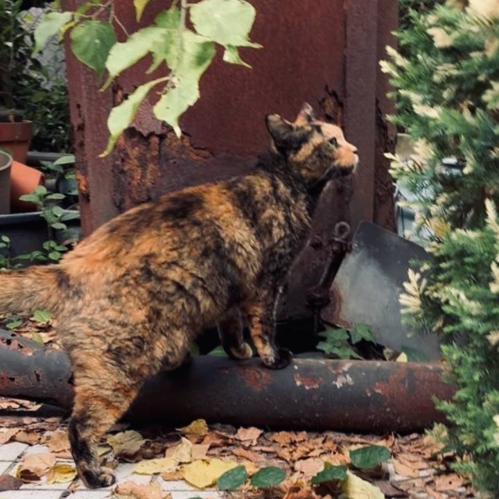 114112a6 368e 4825 bd55 404b475eadfd 1758852859425