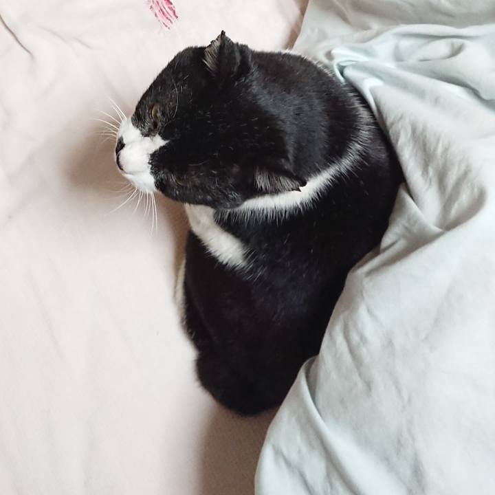 11416903 3ae2 4e55 8050 a1e1239da5c8 1670591546694