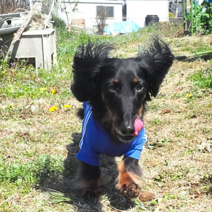 11424fad be90 4aad b02c ea6275cf8a4c 1584002269308