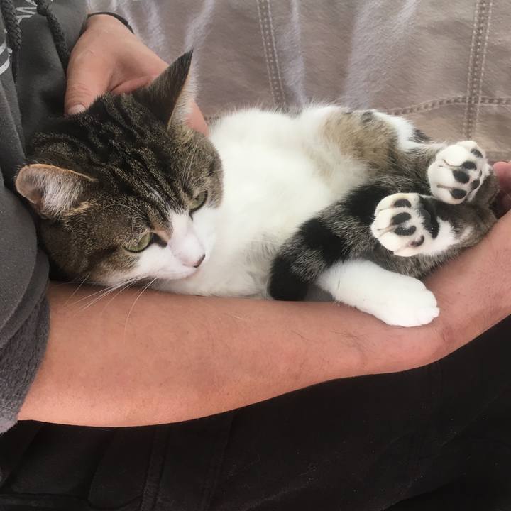 11426094 3b63 4fde a3fe e1c79cd605f9 1645503854686