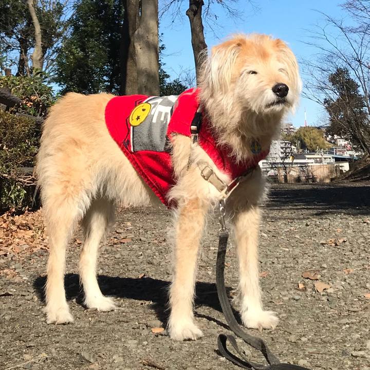 11426b68 0061 4705 a0a9 4511b8c66b86 1645677820984