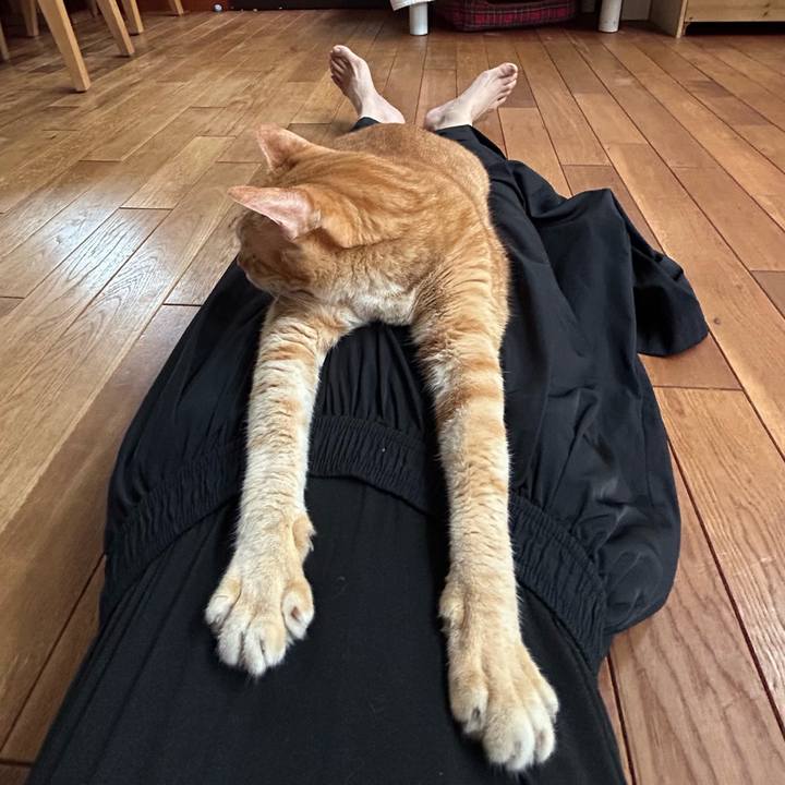 11427043 1ce7 4213 b177 cbfee4030690 1687677164520