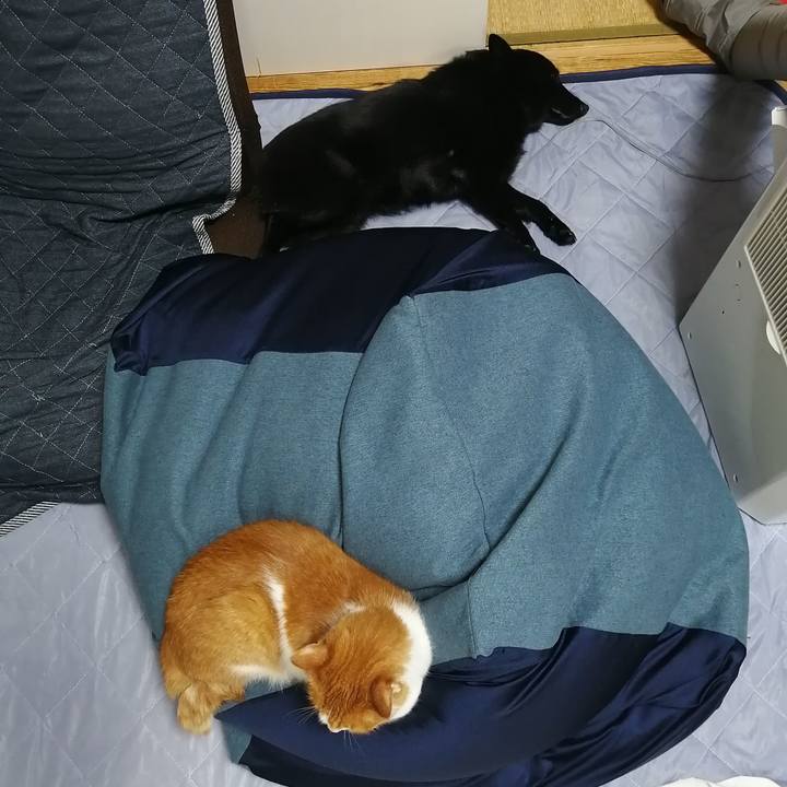 11428383 0ce6 494a 88c3 e4a29c40090d 1623239642145