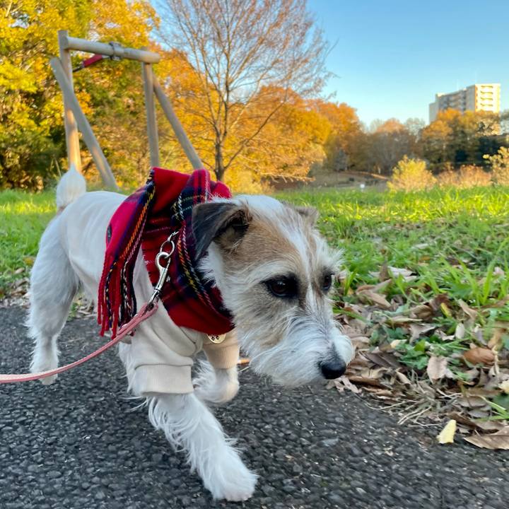 11428eb8 53ab 4f4c 99ba 803f07387f6a 1638434501584