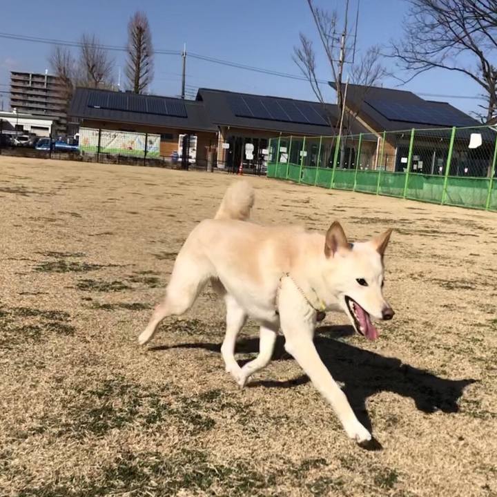 1142966a 52da 4c8d 8c4c 7f758011aa67 1519976087145