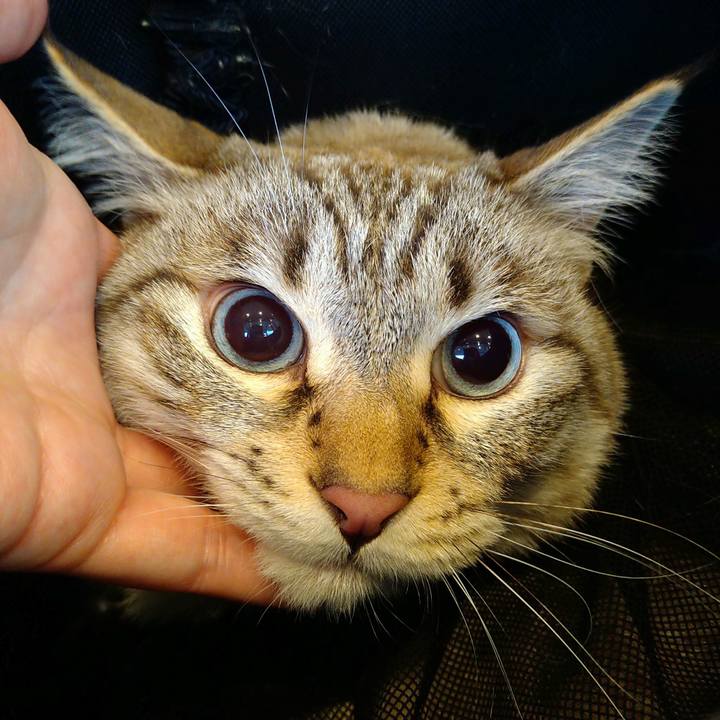 1142afa2 2585 42cc bb54 a1bd1e8615ed 1717836718739