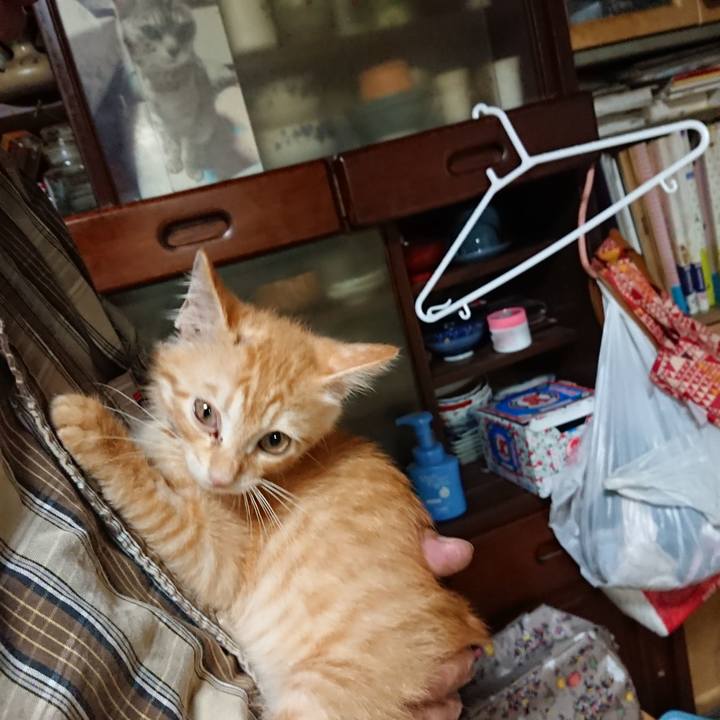 1142ca52 07b6 4c09 bf45 aed2000f99cb 1629287646572