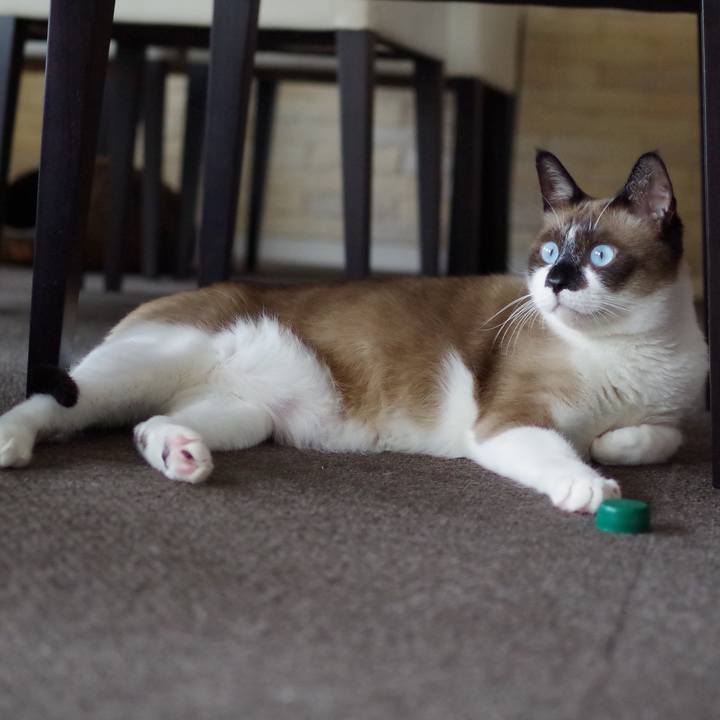 1142d1cf 33fa 48bd ad29 89288ad69abf 1519789540712