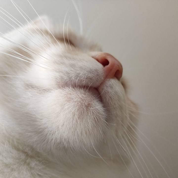 1142f61a 7932 4628 82ec 3cb963c7eb38 1670546522916