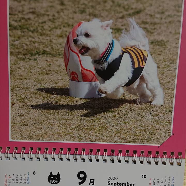 114301c3 dac6 46ee be9c b1ab21757c6a 1599040821093