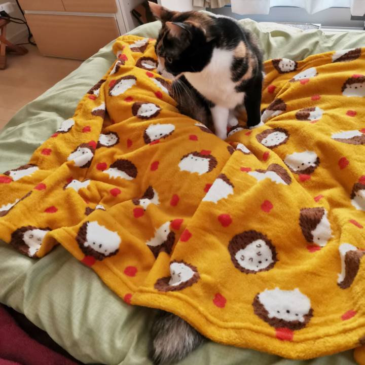 1143322c 0f23 42f3 8837 5e9df735f3fa 1636083489596