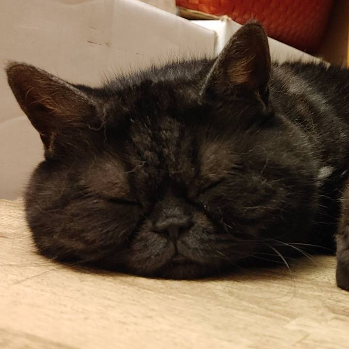 114377be cf57 43b3 9e07 8996d2a05135 1697902497859